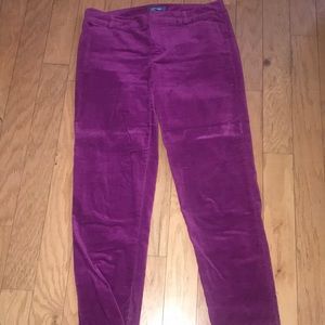 Purple Velvet Pixi Pants!
